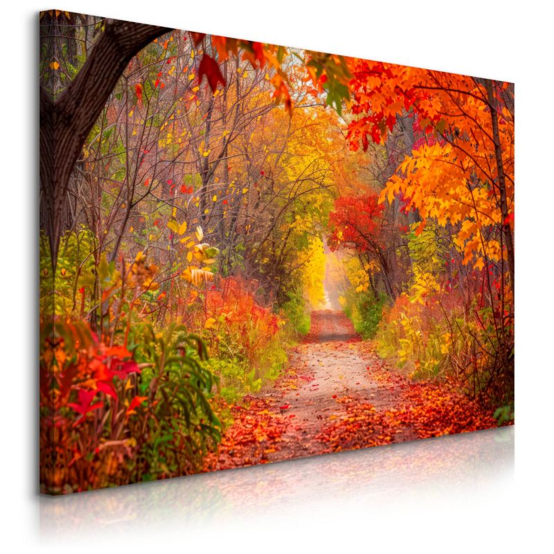 Obraz Muralo Na Płótnie Barwny Las Dekoracja Do Salonu 70x50 cm 1 szt.