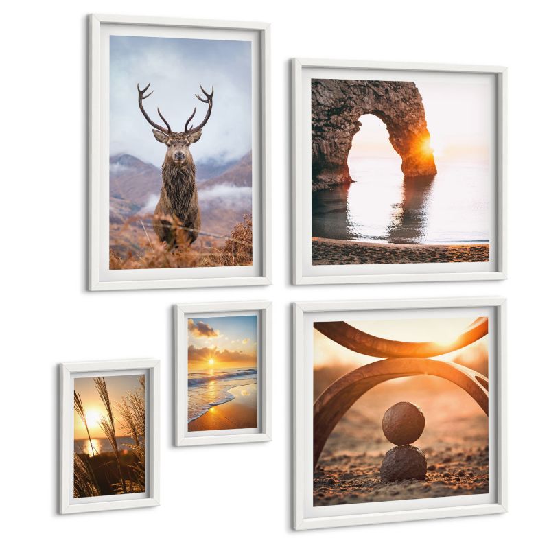 Pięcioczęściowy Zestaw Obrazów ArtPrintCave (2x50x50+2x20x30+40x60cm) Biała rama Tygrys biały wodospad liście 1 kpl.