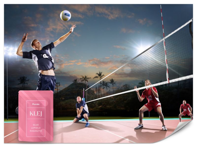 Fototapeta Muralo Siatkarze Mecz Sport 450x315 cm 1szt.