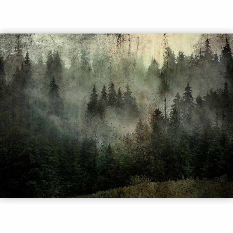 Fototapeta flizelinowa Artgeist 170 g/m2 wodoodporna Pejzaże zielona 100x70 (2 części) 10016aa rolka 1 szt