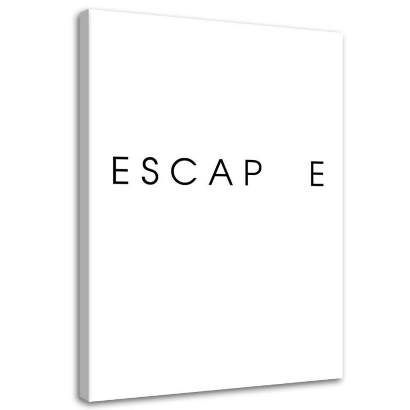 Obraz na płótnie Feeby Escape 30x45cm 1szt