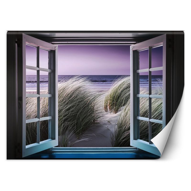 Fototapeta Feeby Widok z okna Plaża Natura 100x70 1 szt