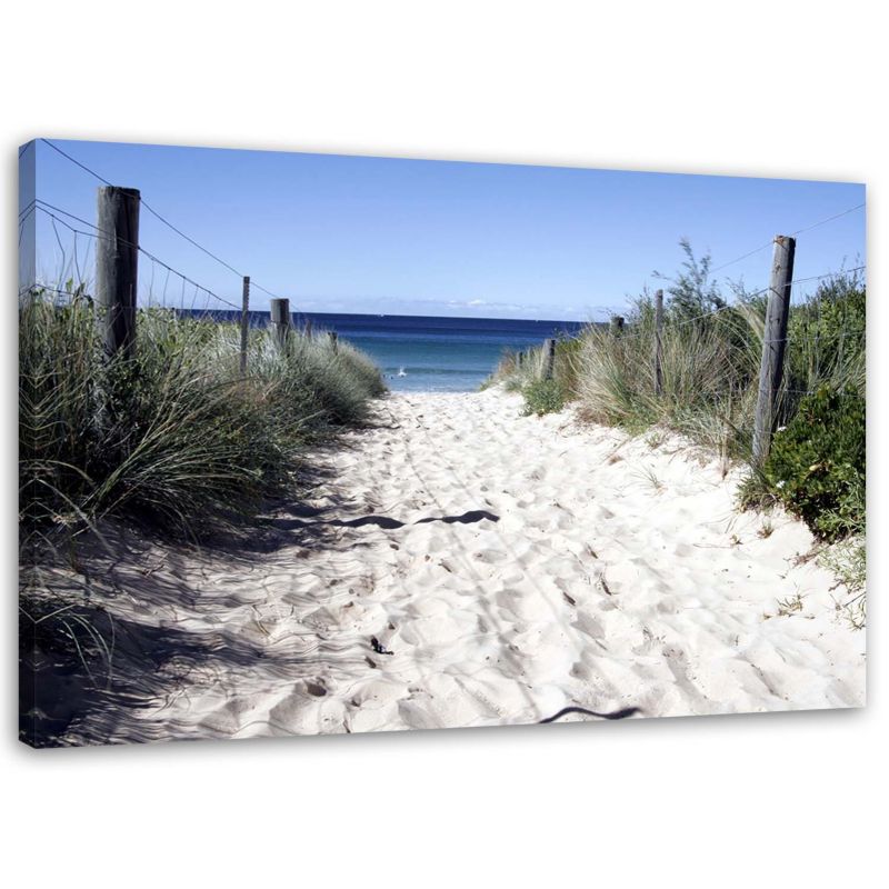 Obraz na płótnie Feeby Ścieżka przez wydmy na plażę 60x40cm 1szt