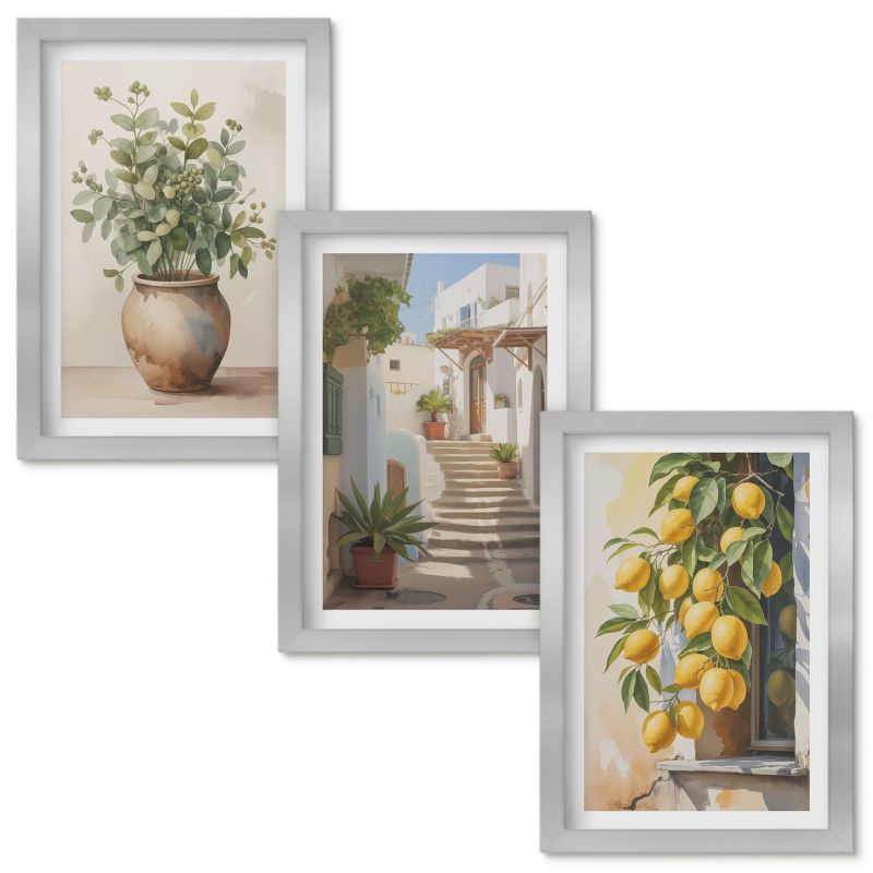 Zestaw obrazów Wallfluent Rośliny donice cytryny uliczka Srebrna rama 20x30cm 3 szt.