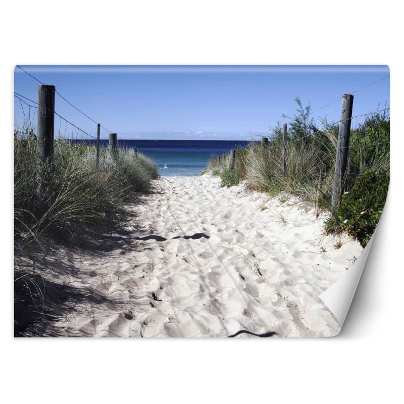 Fototapeta Feeby Droga na plażę wydmy piasek 150x105 1 szt