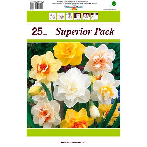 Gran oferta Narcissus Colour Mix, lote de 25 bulbos - Bulbos: Ilość w opakowaniu: 25 bulbos