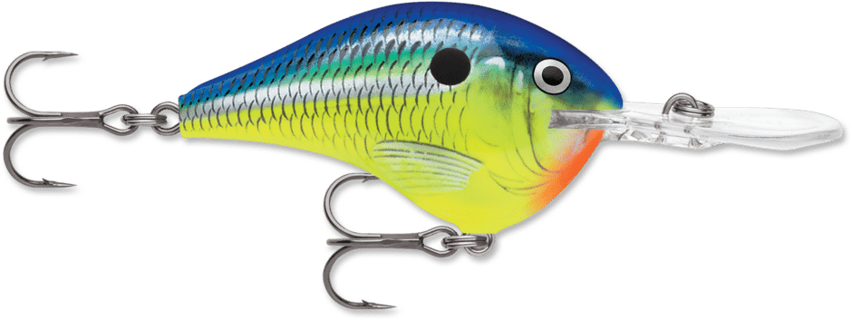 Rapala Wobler DT 16 Pływający 7cm #PRT