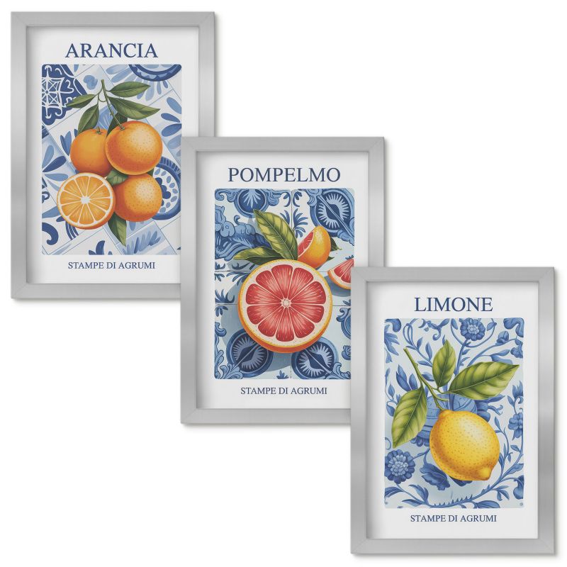 Obrazy do Salonu Wallfluent Owocowe cytrusy vintage ilustracje Srebrna rama 20x30cm 3 szt.