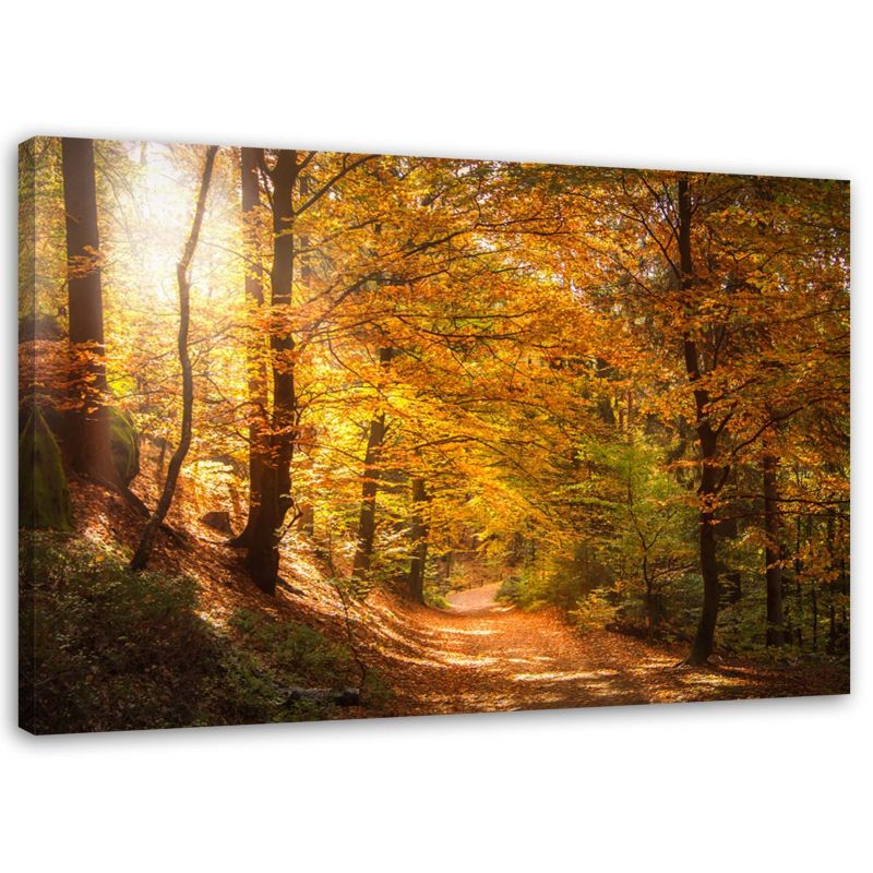 Obraz na płótnie Feeby Las jesienny pejzaż 120x80cm 1szt