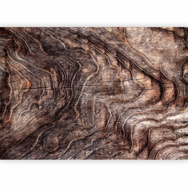 Fototapeta flizelinowa Artgeist 110g/m2 Tła i desenie brązowa 300x210 (6 części) 10045aa rolka 1 szt
