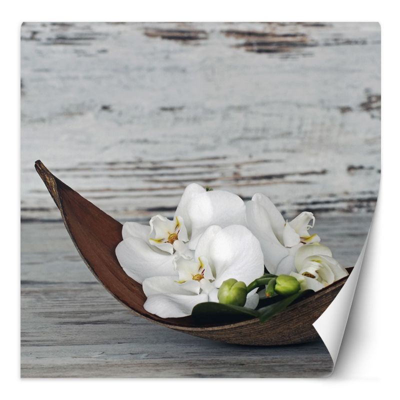 Fototapeta Feeby Kwiaty białej orchidei na tle starej deski 100x100 1 szt