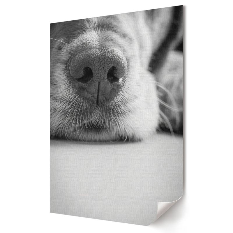 Plakat canvas Wallfluent Format A2 Psi pyszczek Kolektyw Soft Structure 1 szt.