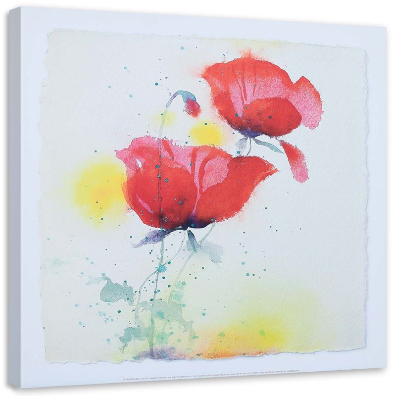 Obraz na płótnie Feeby Jak ręcznie malowane dwa maki 60x60cm 1szt