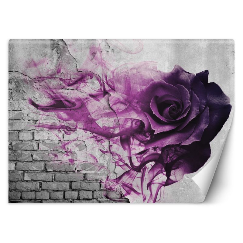 Fototapeta Feeby Fioletowa róża dym 350x245 1 szt