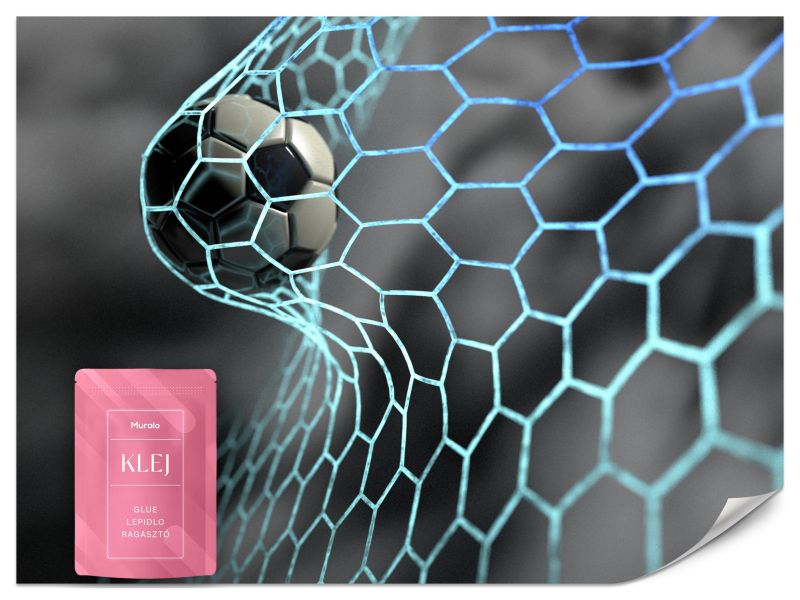 Fototapeta Muralo Piłka Nożna W Bramce Do Pokoju Młodzieżowego 150x105 cm 1szt.