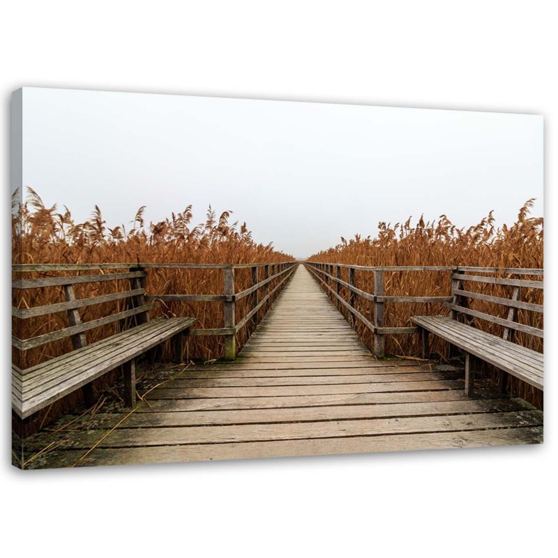 Obraz na płótnie Feeby Pomost trawy plaża pejzaż 60x40cm 1szt