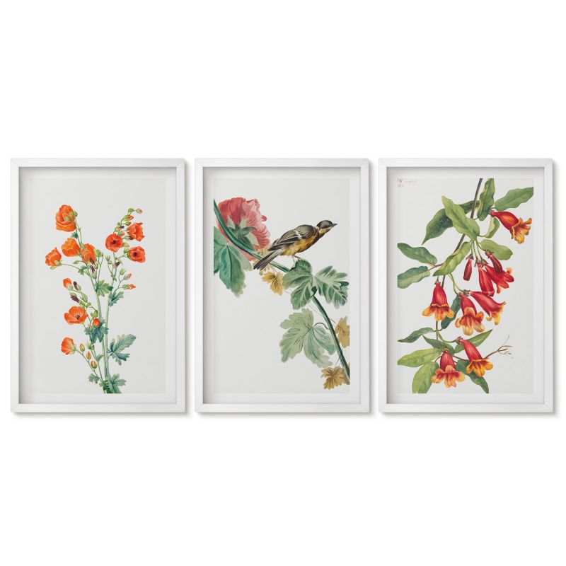 Komplet obrazów biała rama Tulup 40x60 cm Malowane kwiaty i ptak Dekoracja ścienna do przedpokoju 1 kpl