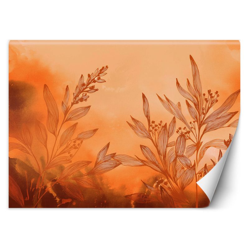 Fototapeta Feeby Rośliny Abstrakcja Pomarańczowy 200x140 1 szt