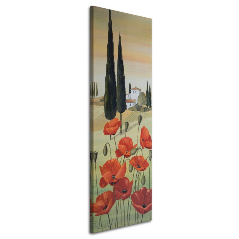 Obraz na płótnie Feeby Maki i dom w tle 50x150cm 1szt