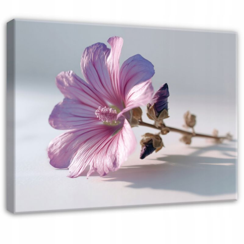 Obraz WALLARENA Do Sypialni Salonu Na Płótnie Kwiaty Abstrakcja Natura Różowy 60x40 cm PP16446O4 1 szt.