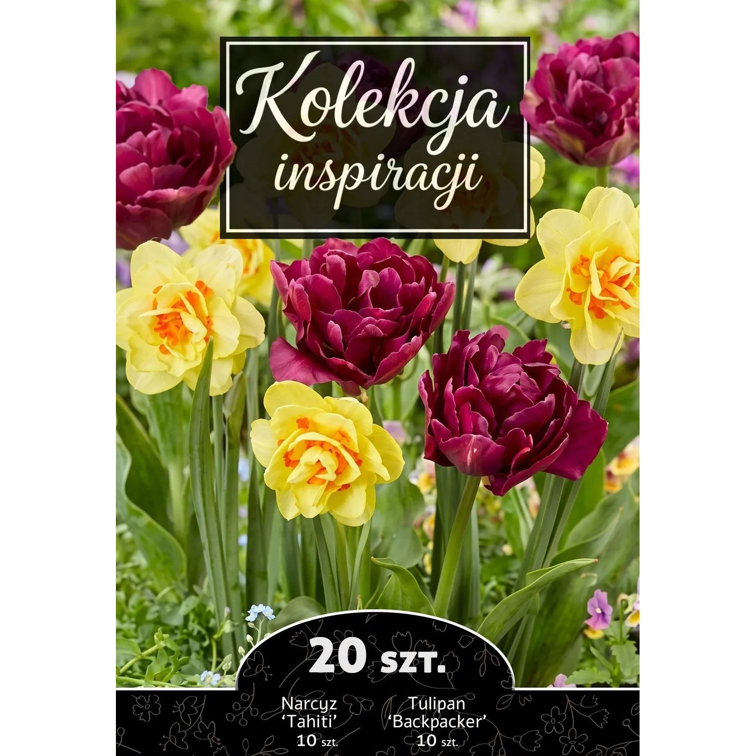 Cebule jesienne Kolekcja Inspiracji 14 - 20 szt.