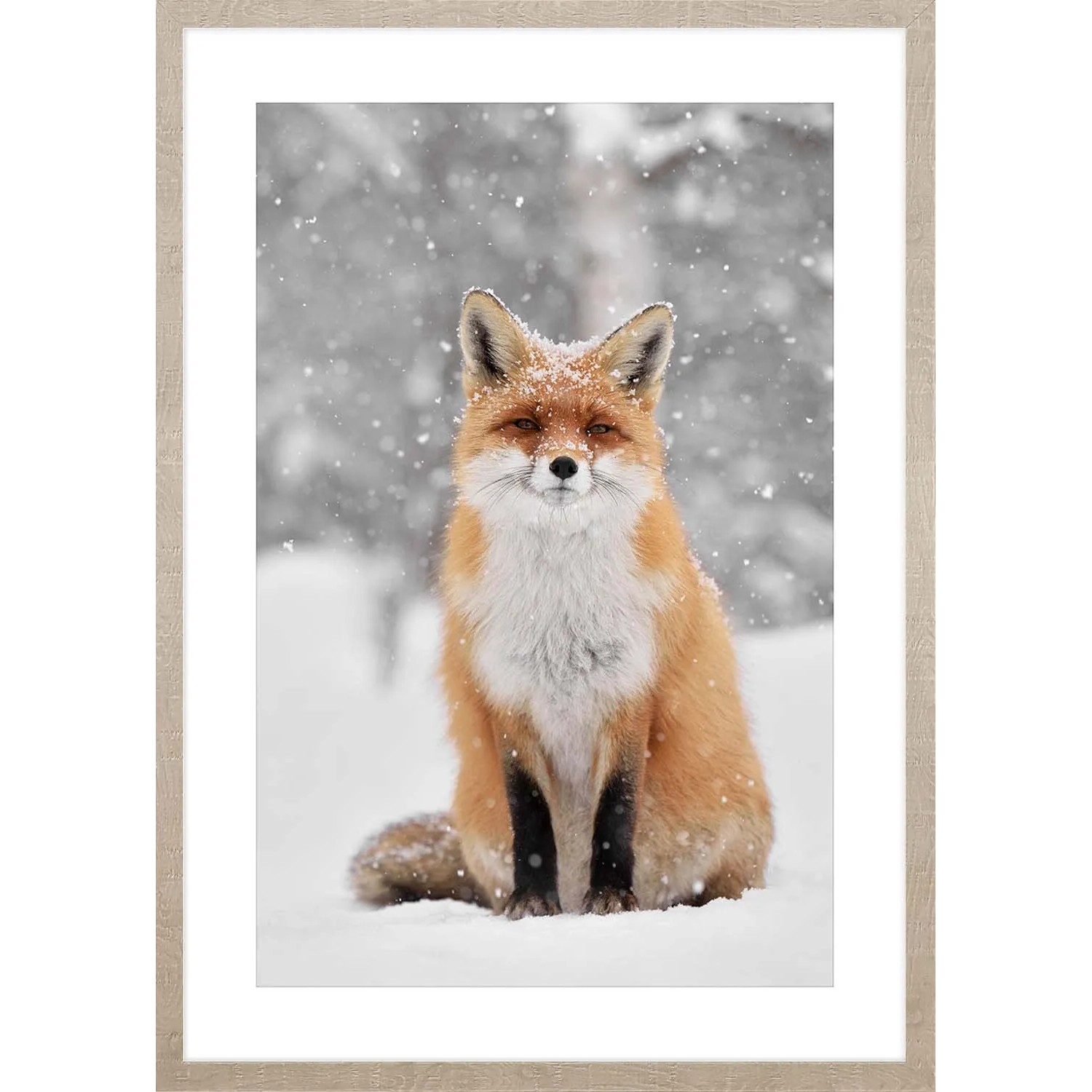 ARS LONGA Obraz FO x IN WINTER 53 x 73 cm
