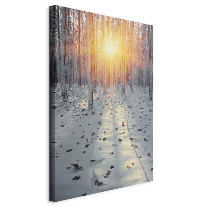 Obraz Artgeist Zimowe popołudnie 40 x 60 cm płótno włoskie 1 szt