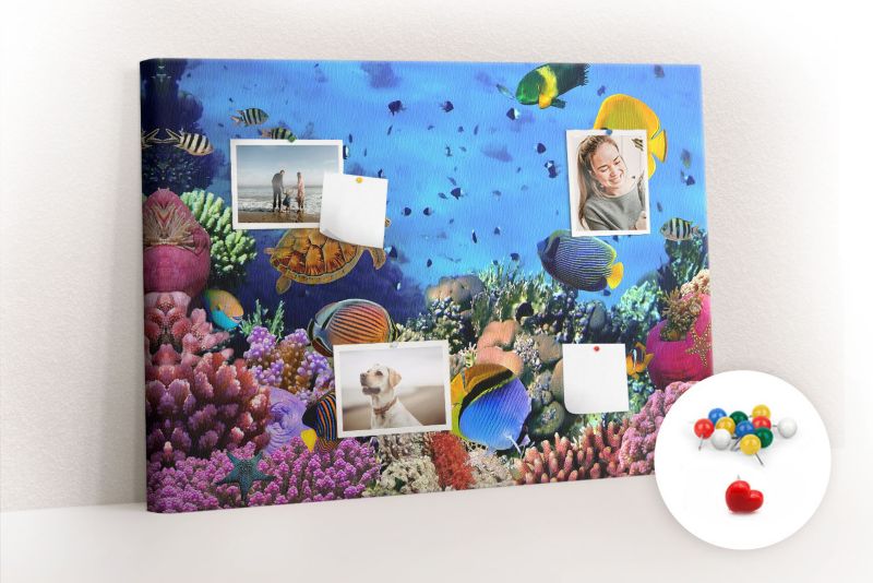 Obraz Tablica Korkowa Tulup 100x70 cm Podwodne życie Na zdjęcia i notatki Pinezki kolorowe 1 kpl