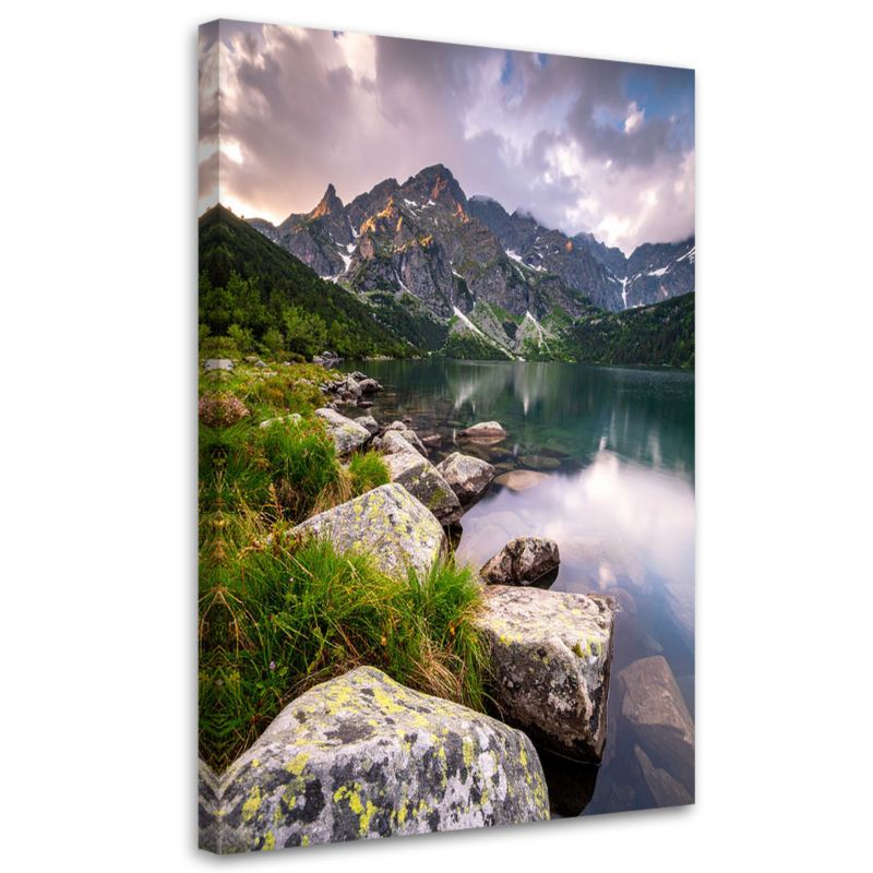 Obraz do salonu sypialni biura Feeby Krajobraz góry skały natura 80x120cm 1szt