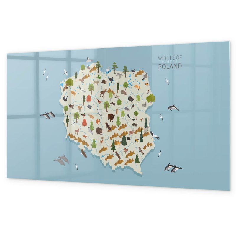 Tablica Magnetyczna Do Rysowania Tulup 120x60 cm Polska mapa zwierząt 5 magnesów + gąbka Czarny marker 1 kpl