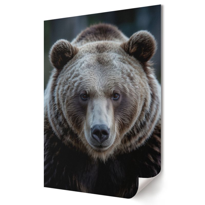Plakat Wallfluent Format A2 Niedźwiedzia siła Artysta Omega 1 szt.