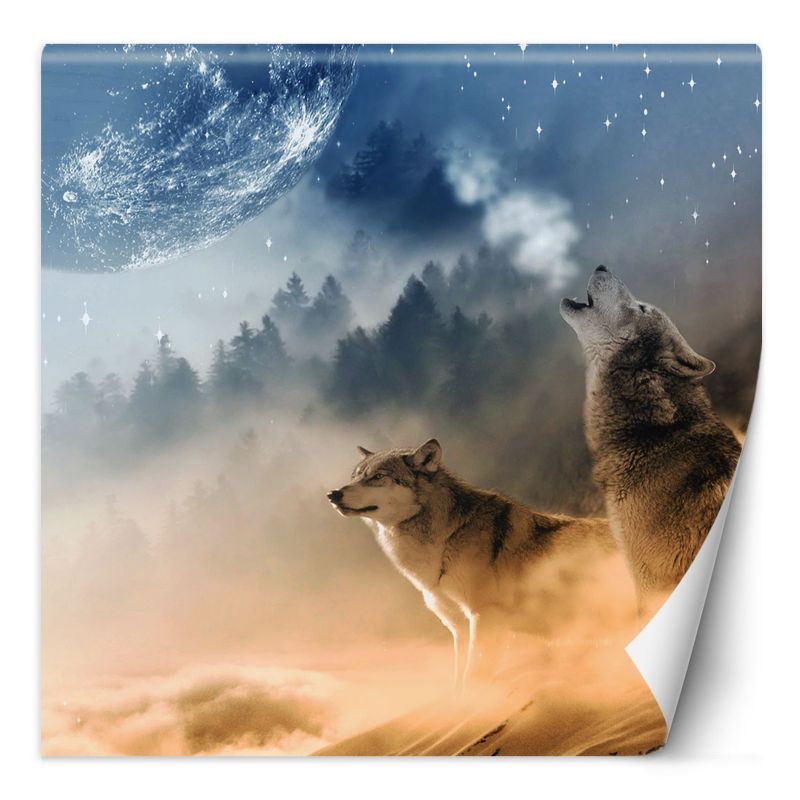 Fototapeta Feeby Wilk księżyc las we mgle 150x150 1 szt