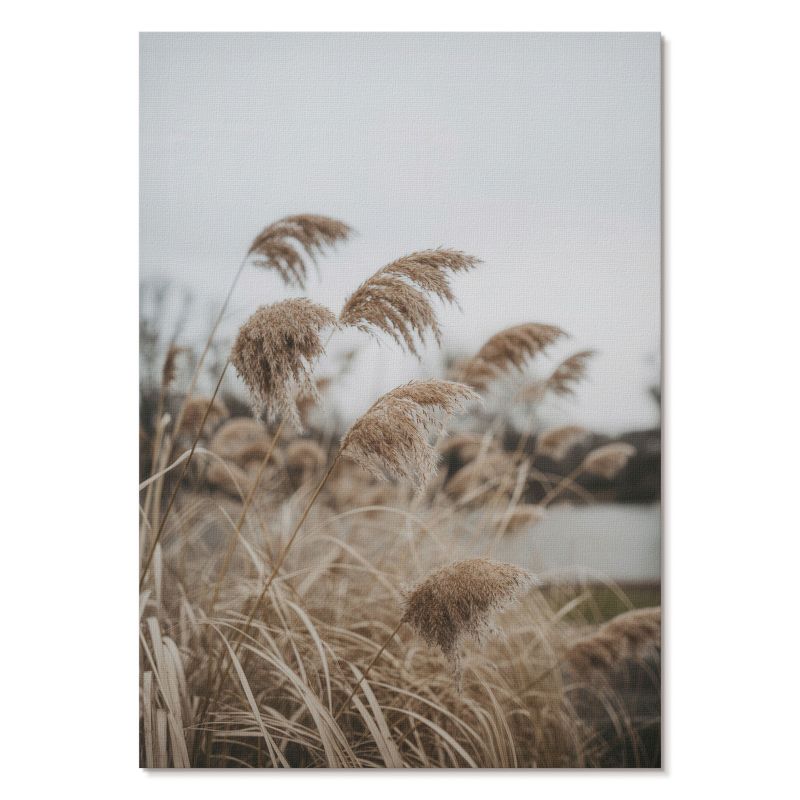 Plakat na Płótnie Tulup 21x29,7 cm (A4) Spokojne trawy Do sypialni, salonu, biura 1 szt.