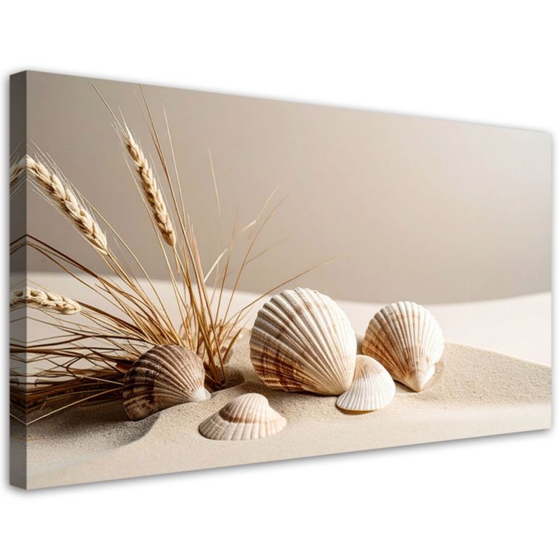 Obraz do salonu kuchni biura Feeby Muszle piasek martwa natura boho 100x50cm 1szt