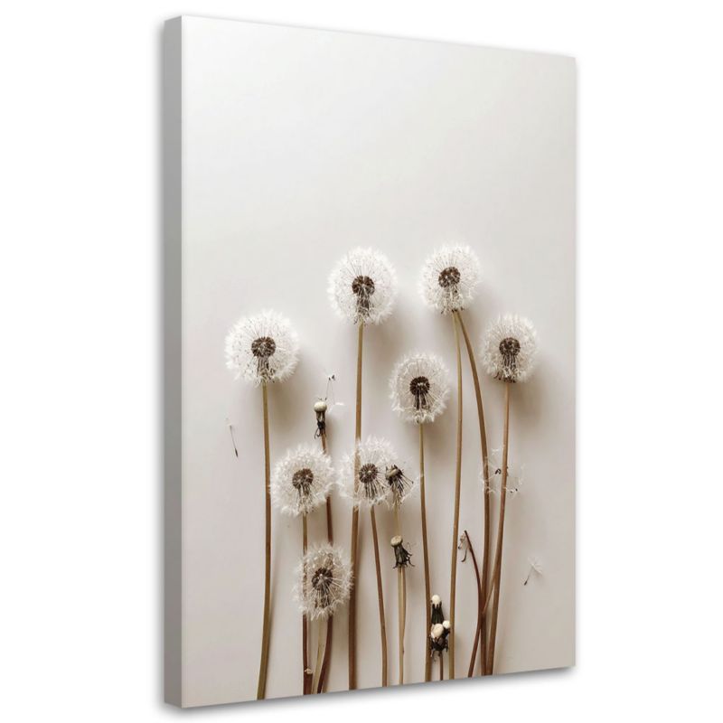 Obraz do salonu kuchni biura Feeby Dmuchawce rośliny natura boho 80x120cm 1szt