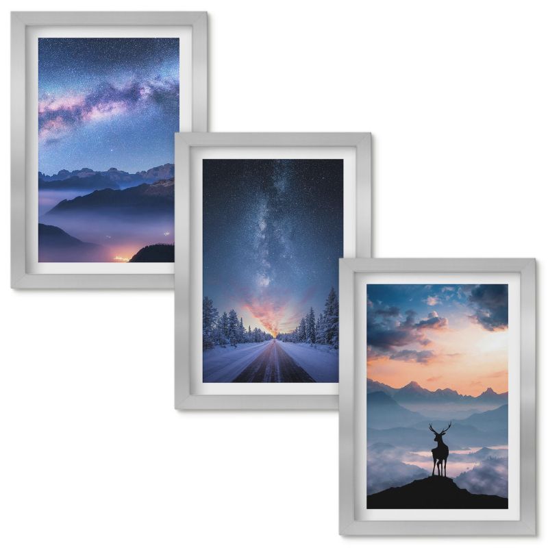Set Obrazów w Ramie Wallfluent Nocne niebo góry mgła jeleń Srebrna rama 20x30cm 3 szt.