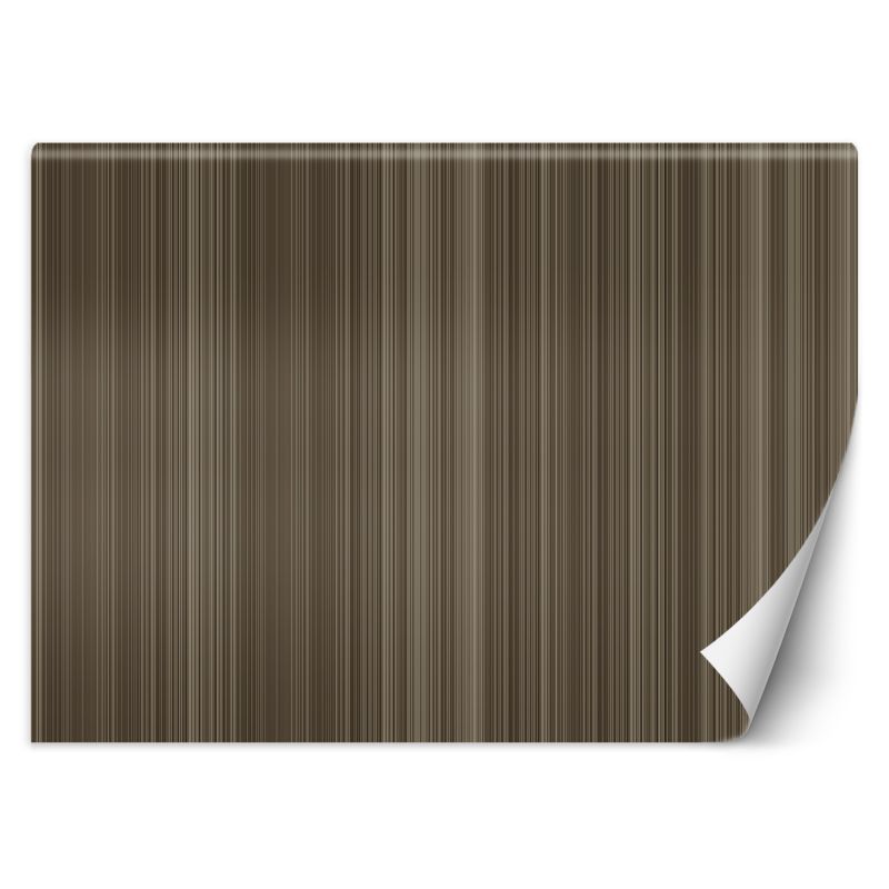 Fototapeta Feeby Linie pionowe abstrakcja 254x184 1 szt