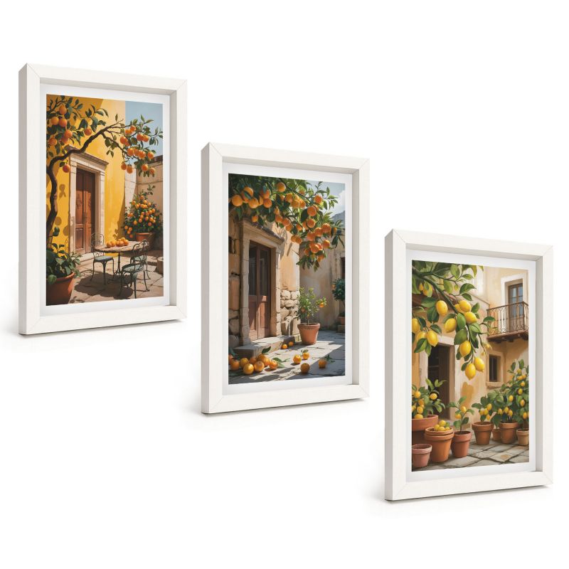 Trzyczęściowy Zestaw Obrazów ArtPrintCave 20x30 cm Biała rama Owoce cytrusowe dziedziniec rośliny 1 kpl.