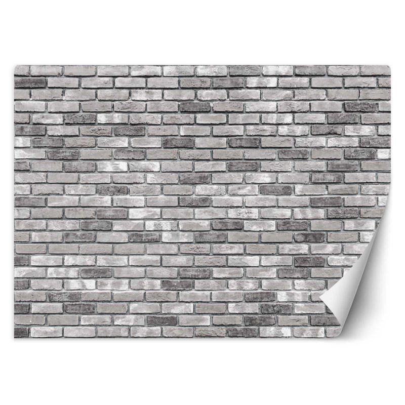 Fototapeta Feeby Mur z szarej cegły 150x105 1 szt