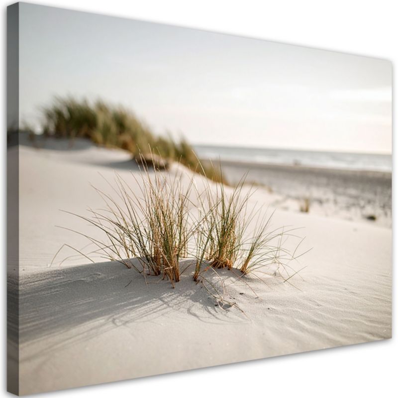 Obraz do salonu nowoczesny Feeby Plaża morze wydmy natura rośliny 100x70cm 1szt
