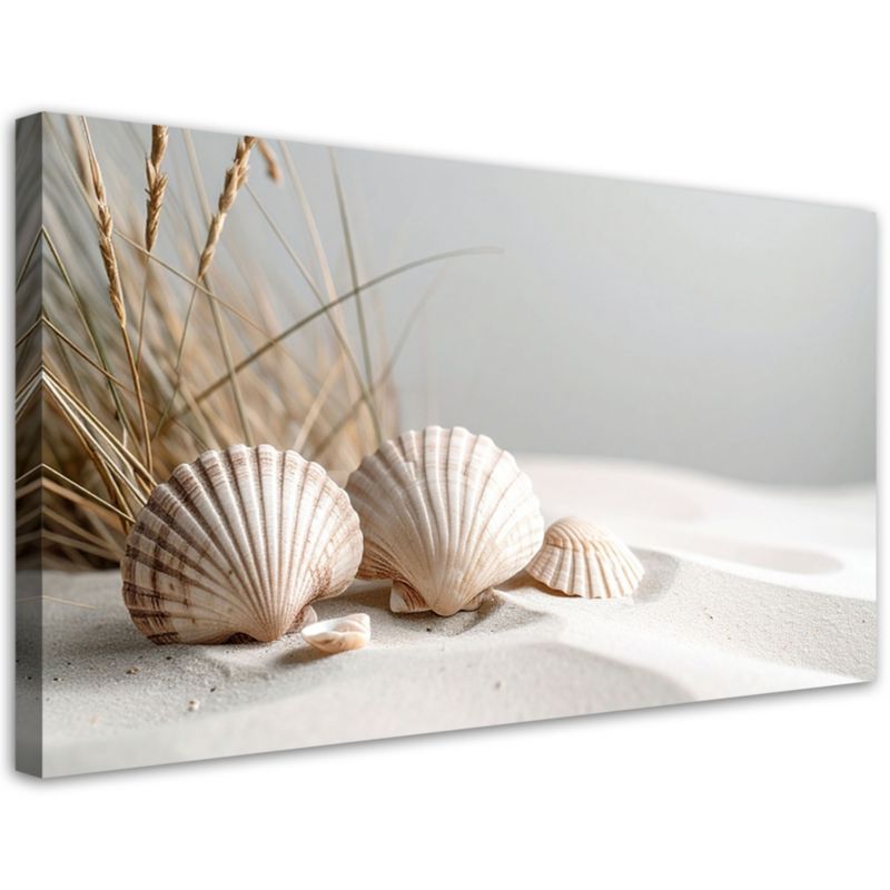 Obraz do salonu kuchni pokoju Feeby Muszle piasek rośliny boho 80x40cm 1szt