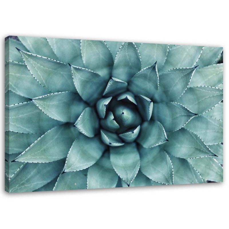 Obraz na płótnie Feeby Niebieski aloes 120x80cm 1szt