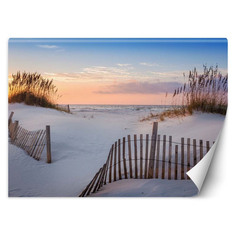 Fototapeta Feeby Plaża nad Bałtykiem 254x184 1 szt