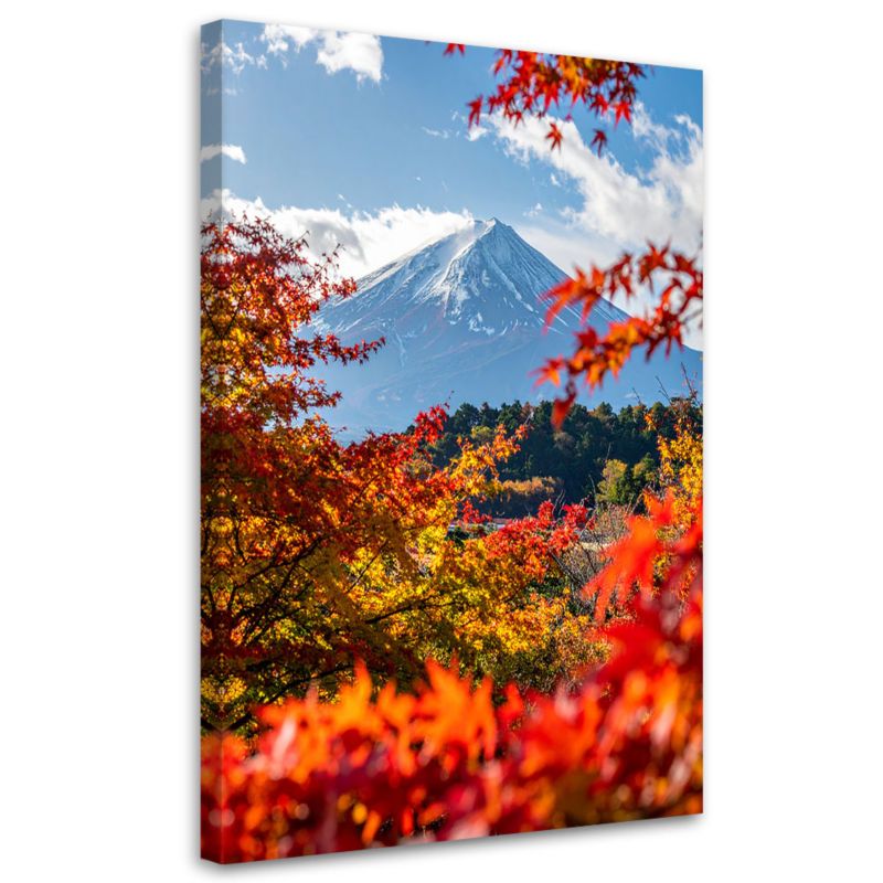 Obraz do salonu Feeby Góra Fuji Krajobraz Natura 80x120cm 1szt