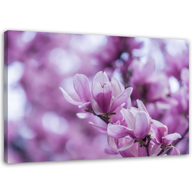 Obraz na płótnie Feeby Kwiaty magnolii 45x30cm 1szt