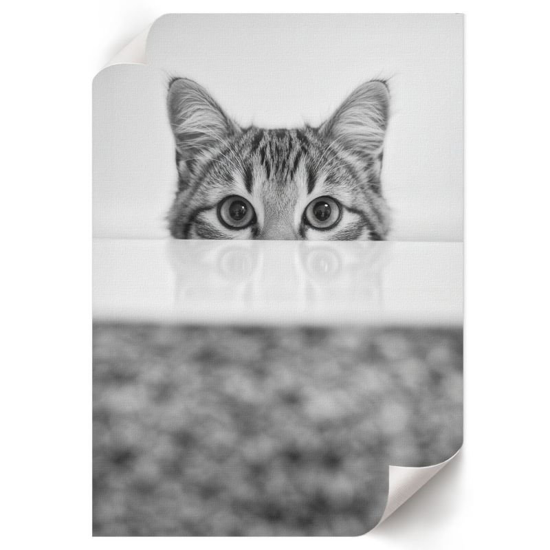 Plakat Premium ArtPrintCave 59,5x84 cm Koci portret Sage 1 szt.