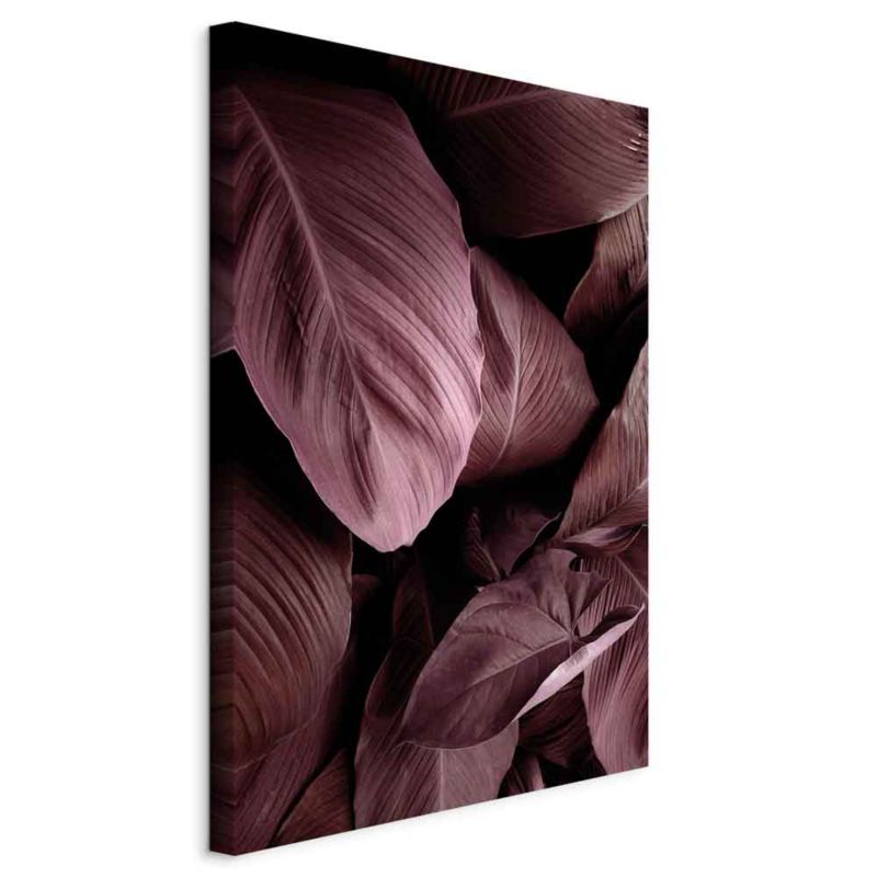Obraz Artgeist Aksamitne liście 60 x 90 cm płótno włoskie 1 szt