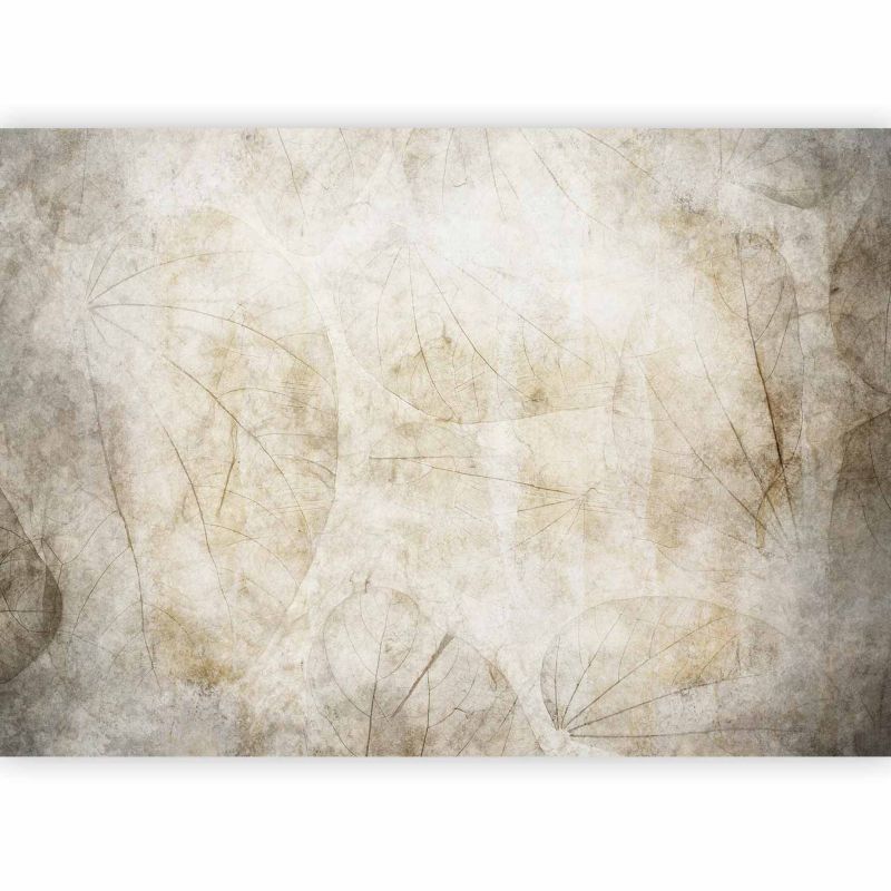 Fototapeta samoprzylepna Artgeist Abstrakcje szara 343x256 (7 części) 10024aa rolka 1 szt