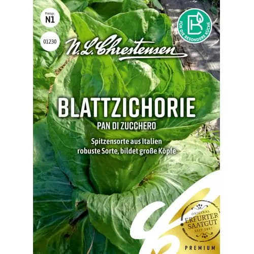 Cykoria liściowa Pan di zucchero - Nasiona. Ilość w opakowaniu: 1 opak - GradinaMax