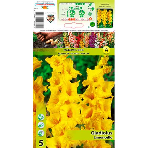 5 buc, Gladiole Ruffled Limoncello - Bulbi: Mod de ambalare: 5 buc